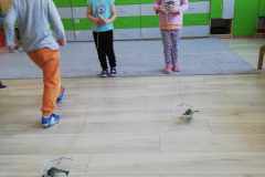 482369873_1707333003227526_3336788706408909373_n